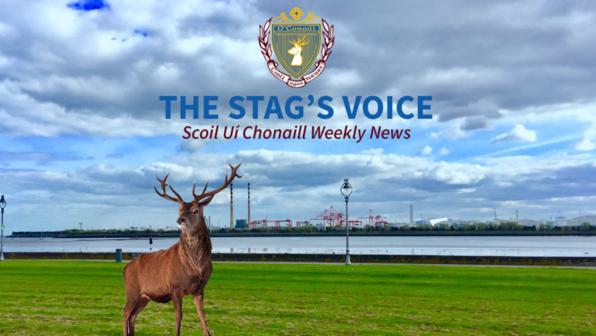 The Stag’s Voice: October 17th, 2018